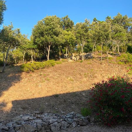 Li Paduleddi Country Guest House Olbia Zewnętrze zdjęcie