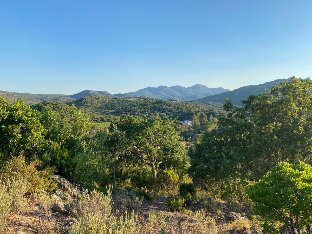 Li Paduleddi Country Guest House Olbia Zewnętrze zdjęcie