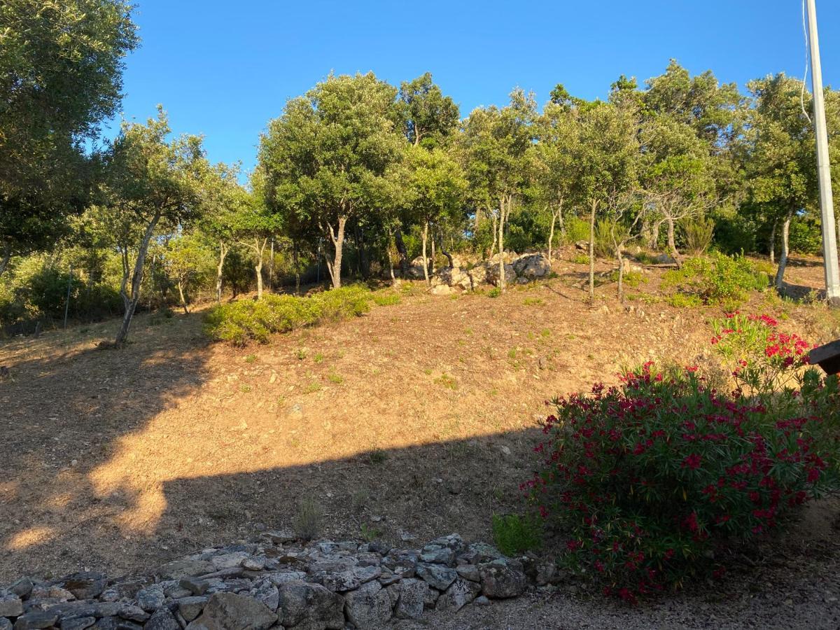 Li Paduleddi Country Guest House Olbia Zewnętrze zdjęcie