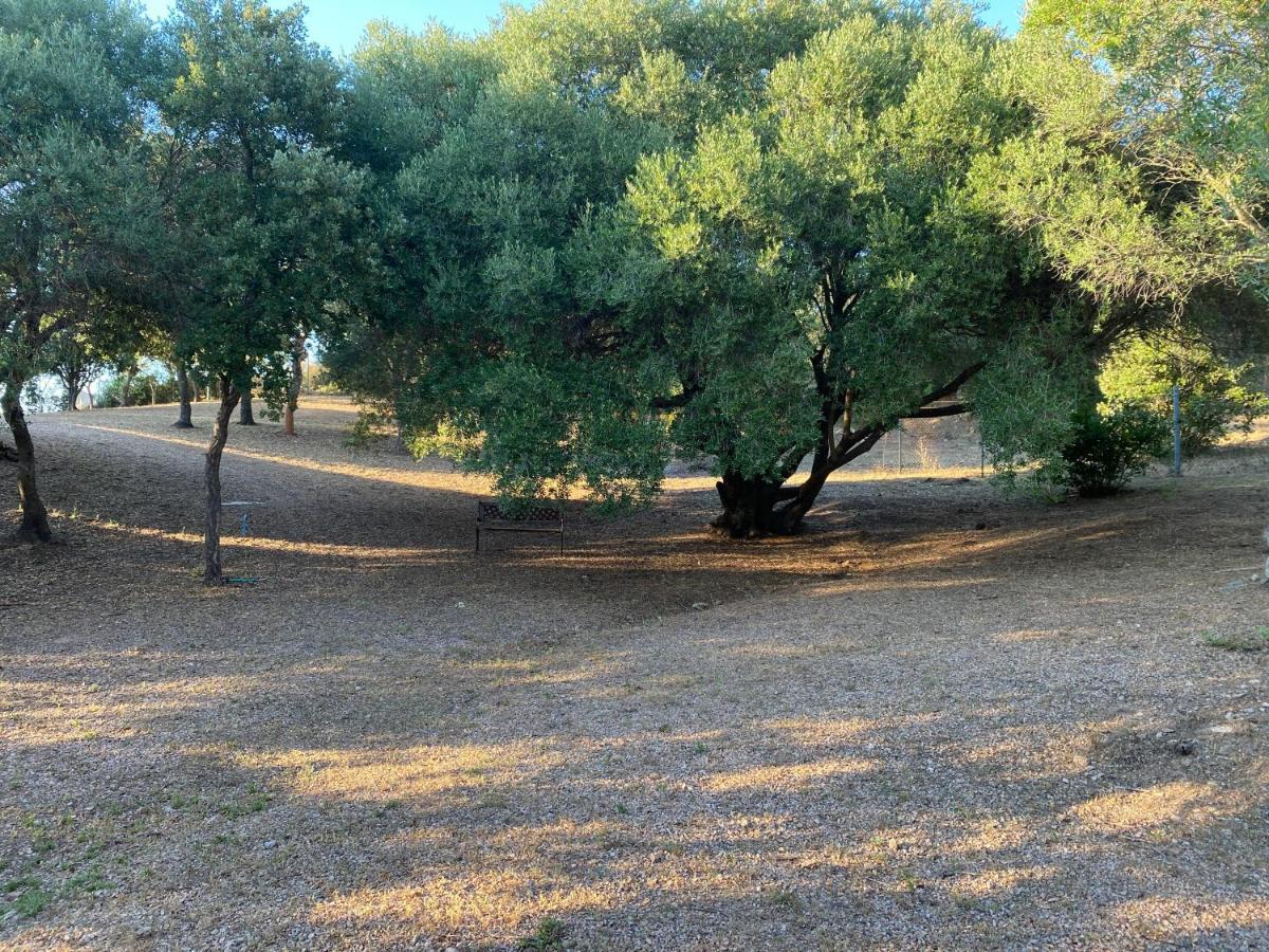 Li Paduleddi Country Guest House Olbia Zewnętrze zdjęcie