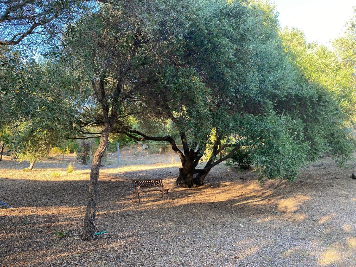 Li Paduleddi Country Guest House Olbia Zewnętrze zdjęcie