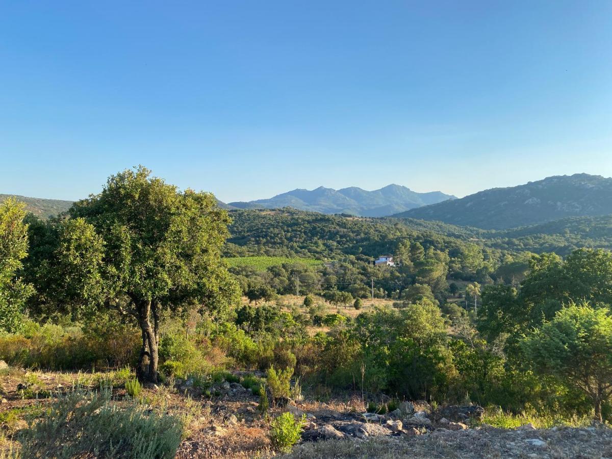 Li Paduleddi Country Guest House Olbia Zewnętrze zdjęcie