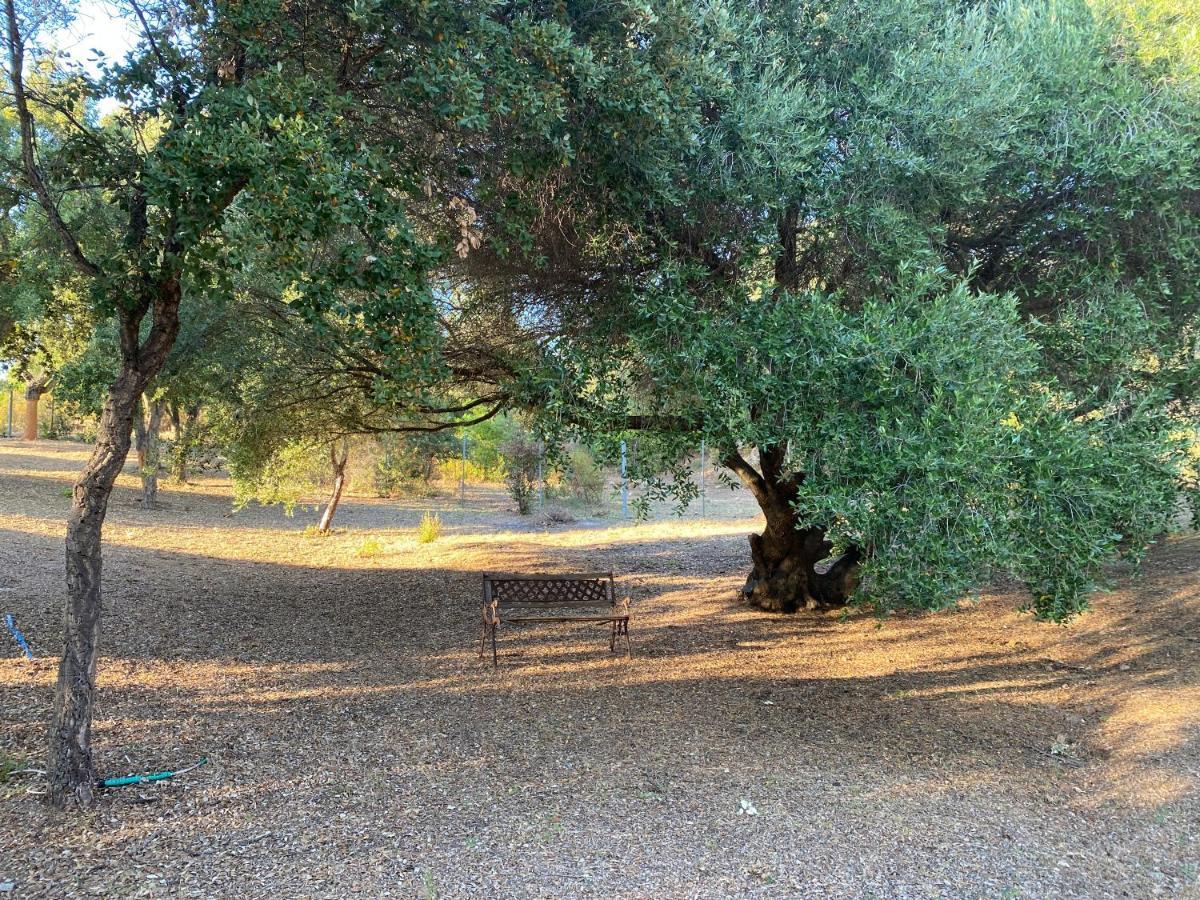 Li Paduleddi Country Guest House Olbia Zewnętrze zdjęcie
