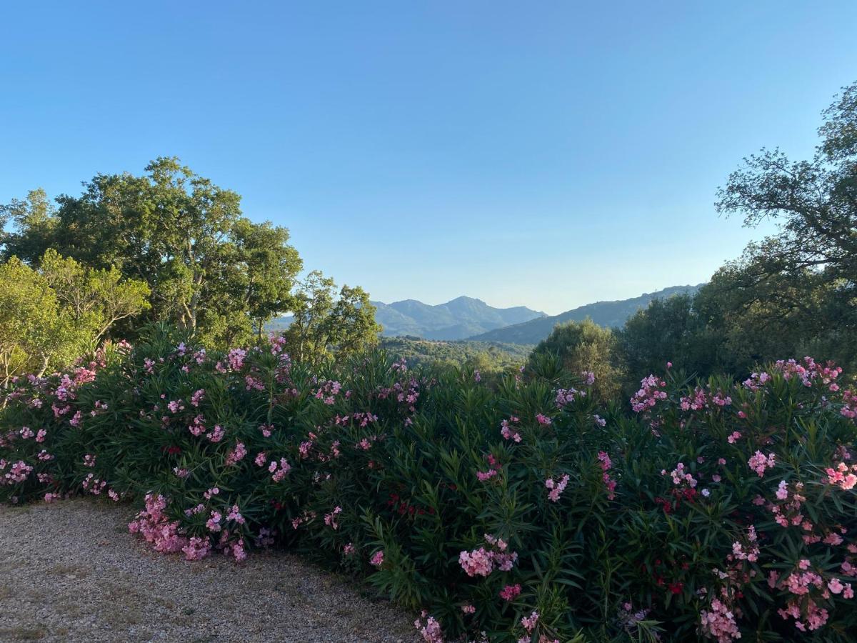 Li Paduleddi Country Guest House Olbia Zewnętrze zdjęcie